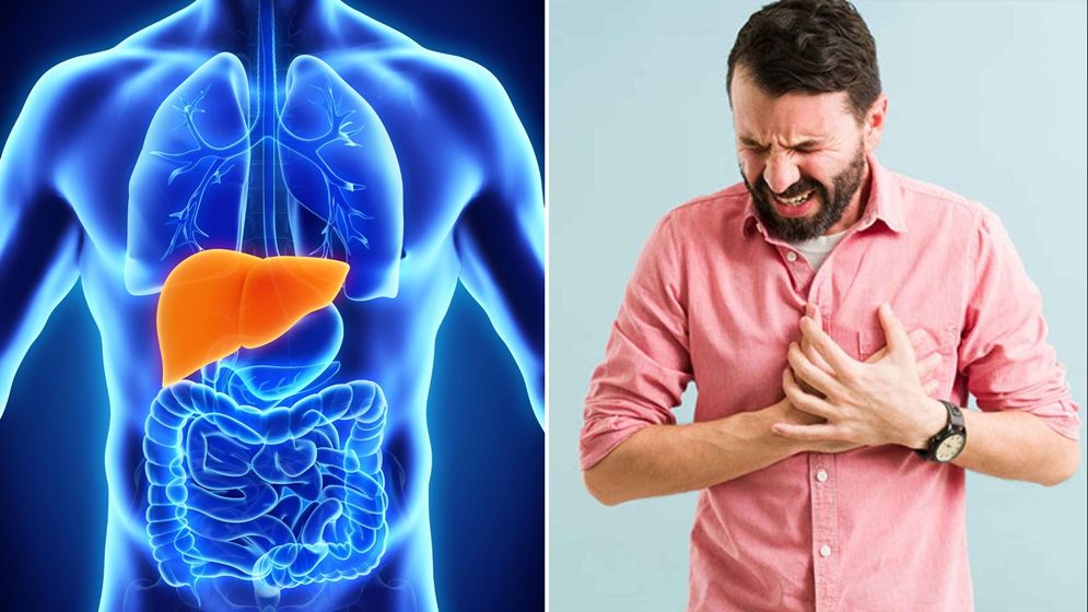 ফ্যাটি লিভার: ঝুঁকি, সতর্কতা ও লিভার ক্যানসার থেকে রক্ষা পাওয়ার উপায়