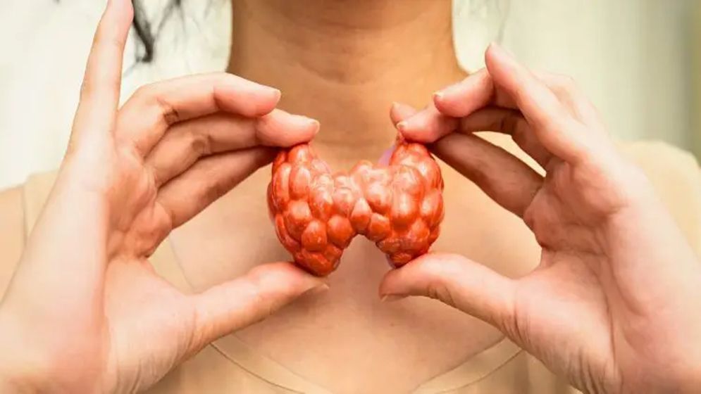 থাইরয়েড নিয়ন্ত্রণে রাখার ৫টি গুরুত্বপূর্ণ নিয়ম
