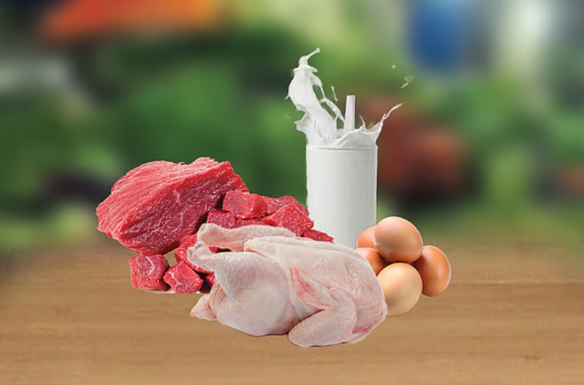 রমজানে স্বস্তি দিচ্ছে সরকার: ৬৫০ টাকায় গরুর মাংস, ৮ টাকায় ডিম ও ৮০ টাকায় দুধ